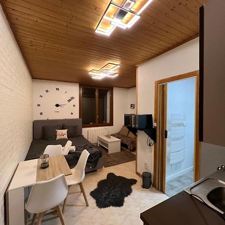 Magnifique Studio De 20M2 Pour 1 A 4 Personnes 莱鲁斯 外观 照片